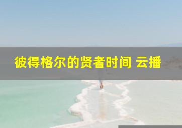 彼得格尔的贤者时间 云播